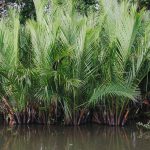 70693544_3067663273308990_3991983221855223808_o