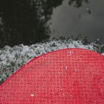 70839473_3067663486642302_2755265642583031808_o