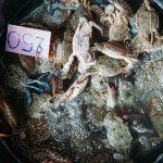 70951419_3216930365048946_4263865543729086464_o