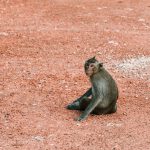 71176314_3099148876827096_7464173880752472064_o