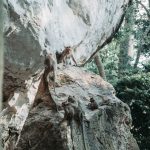 71185804_3099148426827141_7432006388181630976_o