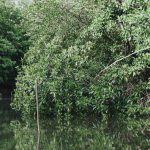 71224670_3067662683309049_1917045089062879232_o