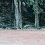 71474412_3099148680160449_4330677393560698880_o