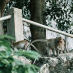 71545629_3099149313493719_6622189333858222080_o