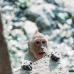 71704053_3099148400160477_1031817935259172864_o