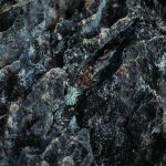 72044840_3099148813493769_6584811126834331648_o