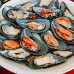 72147428_3216931515048831_6260986677368455168_o