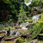 72266553_3092614184147232_8614534639958097920_o