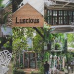 72459970_3212395685502414_4801331703836573696_o