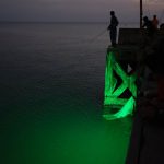 72942857_3217030271705622_5106406404852285440_o