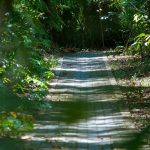 72987845_3189986521076664_6886612555964350464_o