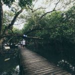 73197766_3164651670276816_5831659461537693696_o