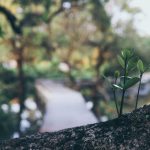 73200797_3164649956943654_8127952842896965632_o