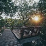 73281248_3164651733610143_301004287494848512_o