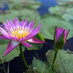 73375555_3189986374410012_4035841705600090112_o