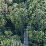 73388435_3164650250276958_7097017287193919488_o