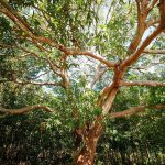 73458746_3189986051076711_3574046959373123584_o