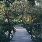 73475016_3164649373610379_773560297620242432_o