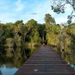 74229531_3189986551076661_2497799812229890048_o