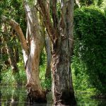 74232776_3189985681076748_2525969613666123776_o