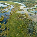 74310234_3189986231076693_2690898818848784384_o