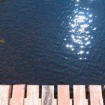 74331378_3189985371076779_9157621963068276736_o