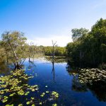 74403648_3189985671076749_4200101381215879168_o