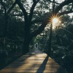 74457747_3164649106943739_6612823796892041216_o