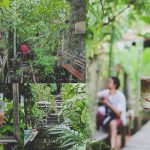 74528890_3212395965502386_6136352627723599872_o