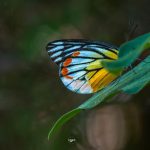 74580891_3189985821076734_5053842666643521536_o