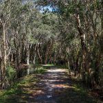 74612372_3189985617743421_4961781163640225792_o