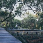 74620964_3164649390277044_1379610003043778560_o