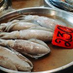 74632365_3216930758382240_5337184347810168832_o