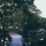 74638427_3164649890276994_6686682751753519104_o