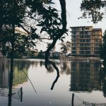 74643659_3164649580277025_5981660996781998080_o