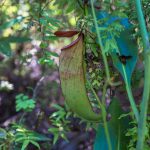 74647577_3189986061076710_5173295512555618304_o