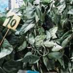 74842683_3216930585048924_3086971846663340032_o