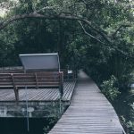 75009075_3164651043610212_6743710717624451072_o