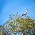 75199953_3189985571076759_8731403908422828032_o