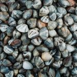 75226415_3216931305048852_1235867759863136256_o