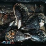 75237569_3216932201715429_3466803704756174848_o