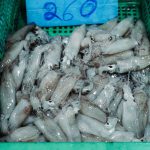 75247421_3216931978382118_4302243735103602688_o