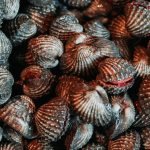 75250953_3216931528382163_6713545345533476864_o