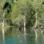 75264849_3189985537743429_5808452786869764096_o