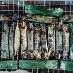 75266126_3216932561715393_7204922409156083712_o