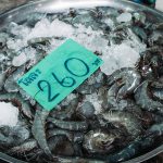 75308019_3216931721715477_4247010275288416256_o