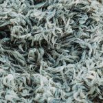 75394757_3216932445048738_7022153756661776384_o