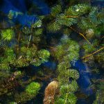 75412109_3189985434410106_3437286468999970816_o