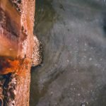 75435774_3217030045038978_6613712442805452800_o