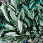 75439460_3216930548382261_7893554500206592000_o